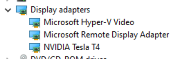 nvidia T4 Devicemanager